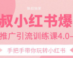 狼叔小红书爆款推广引流训练课4.0,手把手带你玩转小红书-八爪鱼资源库