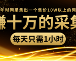 年赚十万的采集站,每天却只需要1小时,一年时间采集出一个售价10W以上的网站-八爪鱼资源库