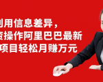 利用信息差异,零投资操作阿里巴巴最新管道项目轻松月赚10000+-八爪鱼资源库
