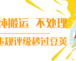 抖音纯搬运 不处理 小技巧，30秒发一个作品，避免违规评级秒过豆荚-八爪鱼资源库