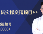 柚子分享课:微信视频号变现攻略,新手零基础轻松日赚千元-八爪鱼资源库
