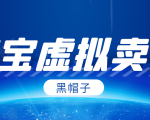黑帽子淘宝虚拟卖货项目,单店每月收入5000+-八爪鱼资源库