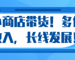 微信小商店带货，爆单多倍收入，长期复利循环！日赚300-800元不等-八爪鱼资源库
