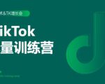 2020最新TikTok流量增长训练营（完结）附PPT-八爪鱼资源库