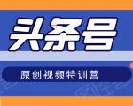 头条号原创视频特训营:一对一带你玩转短视频,新号10天日收益破252元-八爪鱼资源库