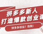 拼多多新人打造爆款创业课:快速引流持续出单,适用于所有新人-八爪鱼资源库