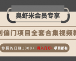 暴利偏门项目全套合集视频教程:你要的日赚1000+月入几万+项目都有-八爪鱼资源库