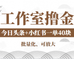 工作室撸金二件套:撸今日头条原创收益+小红书一单利润40块项目-八爪鱼资源库