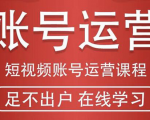 短视频账号运营课程:从话术到短视频运营再到直播带货全流程,新人快速入门-八爪鱼资源库