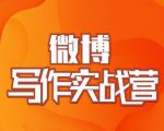 村西边老王·微博超级写作实战营,帮助你粉丝猛涨价值999元-八爪鱼资源库