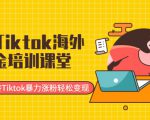 最新Tiktok海外掘金培训课堂:带你玩转Tiktok暴力涨粉轻松变现-八爪鱼资源库