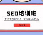 SEO培训班课程，手把手教你做出一个权重6的例站，价值8000元-八爪鱼资源库