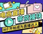 大鹏·电商直播带货课,系统学习直播带货各环节技巧和套路-八爪鱼资源库
