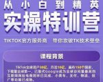 Seven漆·2022Tiktok从小白到精英实操特训营，带你掌握Tiktok账号运营-八爪鱼资源库