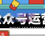 零零已久·从0-1运营公众号,零基础小白也能上手,系统性了解公众号运营-八爪鱼资源库