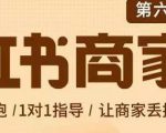 贾真-小红书商家营第6期商家版,21天带货陪跑课,让商家丢掉付流量-八爪鱼资源库