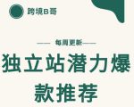 【跨境B哥】独立站潜力爆款选品推荐,测款出单率高达百分之80-八爪鱼资源库