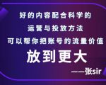 张sir账号流量增长课,告别海王流量,让你的流量更精准-八爪鱼资源库