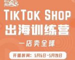 疯人院:TikTok Shop出海训练营（一店卖全球)，出海抢占全球新流量-八爪鱼资源库