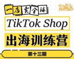 TikTokShop出海训练营(第十三期),打开全球流量新思维,出海抢占全球新流量,一店卖全球-八爪鱼资源库