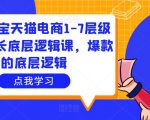 大圣淘宝天猫电商1-7层级盈利增长底层逻辑课,爆款的底层逻辑-八爪鱼资源库