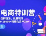 美团电商特训营:美团·店群玩法,无脑铺货月产出6000-15000+精细化月产2w+-八爪鱼资源库