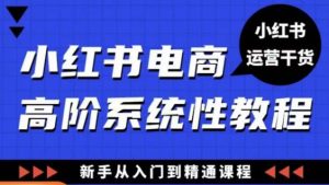 小红书电商高阶系统教程,新手从入门到精通系统课-八爪鱼资源库