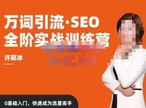 许茹冰·万词引流-SEO全阶实战训练营,0基础入门,快速成为流量高手-八爪鱼资源库