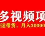 多多带货视频快速50爆款拿带货资格，搬运带货，月入30000【全套脚本+详细玩法】-八爪鱼资源库