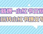一写就爆-小红书文案课:带你玩转小红收爆文写作(45节课)-八爪鱼资源库