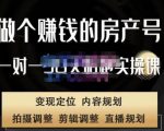 刘广标·同城房产号线上陪跑课,拍摄、剪辑、写文案、直播,做一个具有潜力价值的房产号-八爪鱼资源库