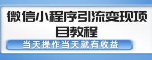 微信小程序引流变现项目教程,当天操作当天就有收益,变现不再是难事-八爪鱼资源库