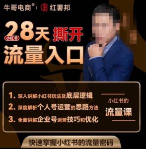 牛哥电商红薯邦28天撕开小红书流量入口,小红书运营系列课,快速掌握小红书的流量密码-八爪鱼资源库