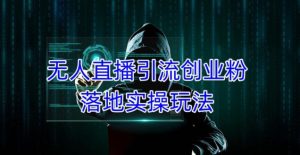 外面收费3980的无人直播引流创业粉落地实操玩法，单日引100+精准创业粉-八爪鱼资源库
