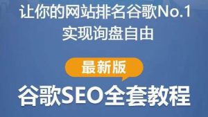 谷歌SEO实战教程:如何让你的网站在谷歌排名第一,内容从入门到高阶,适合个人及团队-八爪鱼资源库