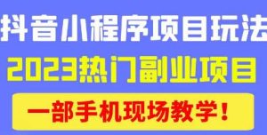抖音小程序9.0新技巧,2023热门副业项目,动动手指轻松变现-八爪鱼资源库