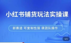 小红书铺货玩法实操课,流量大,竞争小,非常好做,新赛道,可复制性强,可团队操作-八爪鱼资源库