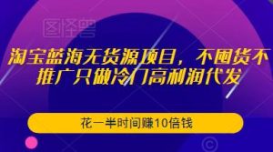 淘宝蓝海无货源项目,不囤货不推广只做冷门高利润代发,花一半时间赚10倍钱-八爪鱼资源库