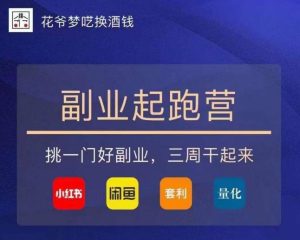 花爷-副业起跑营第2期,挑一门好副业,三周干起来(闲鱼|小红书|量化|套利)-八爪鱼资源库