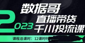数据哥2023直播电商巨量千川付费投流实操课,快速掌握直播带货运营投放策略-八爪鱼资源库