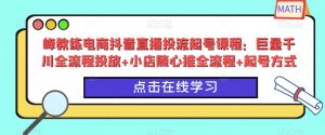 峰教练电商抖音直播投流起号课程:巨量千川全流程投放+小店随心推全流程+起号方式-八爪鱼资源库