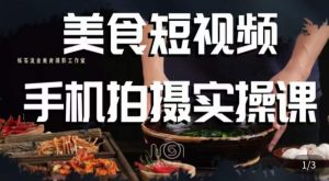 烁石·美食视频手机拍摄实操课,美食摄影理论、手机拍摄相关设置、剪辑调色、布光原理等内容-八爪鱼资源库