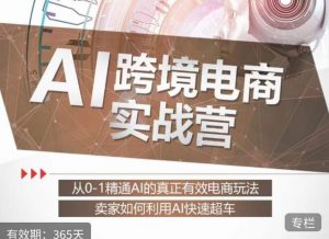 白龙老师·AI跨境电商实战营:从0-1精通Al的真正有效电商玩法,卖家如何利用Al快速超车-八爪鱼资源库