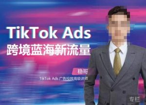 稳哥·如何投出高ROI的TikTok广告,开拓独立站卖家流量新蓝海-八爪鱼资源库