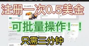 国外项目注册一次0.5美金,只需三分钟无脑操作,可批量同时放大操作,小白工作室福利【揭秘】-八爪鱼资源库