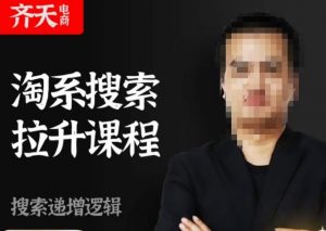 齐天电商·淘系搜索提升课程，​搜索递增标准化，动销标准化流程-八爪鱼资源库