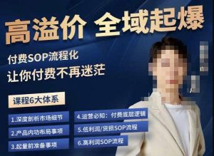 逸风-拼多多高溢价全域起爆,6大课程体系,付费玩法全套实操-八爪鱼资源库