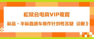 松鼠会电商VIP教程：松鼠《付费推广标品·半标直通车操作针对性答疑&诊断》-八爪鱼资源库