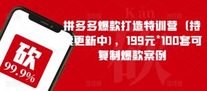 拼多多爆款打造特训营(持续更新中),199元*100套可复制爆款案例-八爪鱼资源库