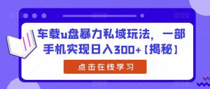 车载u盘暴力私域玩法,一部手机实现日入300+【揭秘】-八爪鱼资源库